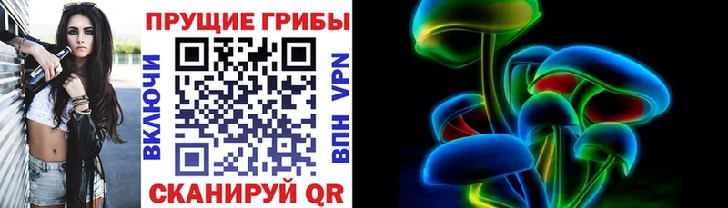Галлюциногенные грибы GOLDEN TEACHER  ОМГ ОМГ ссылка  Козьмодемьянск 